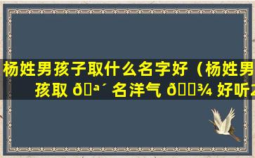 杨姓男孩子取什么名字好（杨姓男孩取 🪴 名洋气 🌾 好听2020）